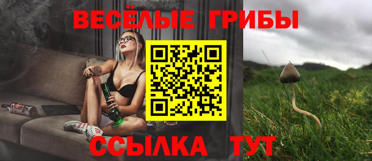 Галлюциногенные грибы ЛСД Гай