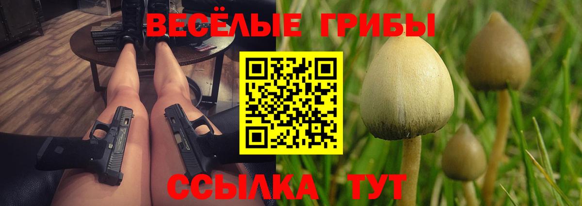 Псилоцибиновые грибы Psilocybine cubensis  Галлюциногенные грибы прущие грибы  Гай  Вход с VPN 